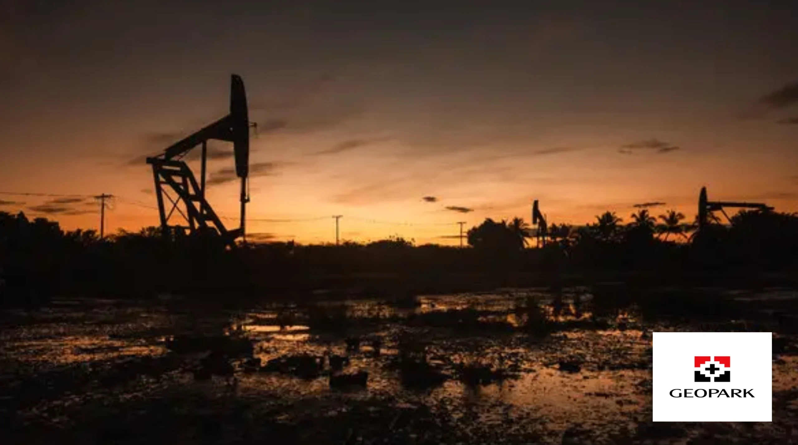 Sistemas de levantamiento artificial en yacimientos petroleros tras el ingreso del Grupo Gilinski en Venezuela.